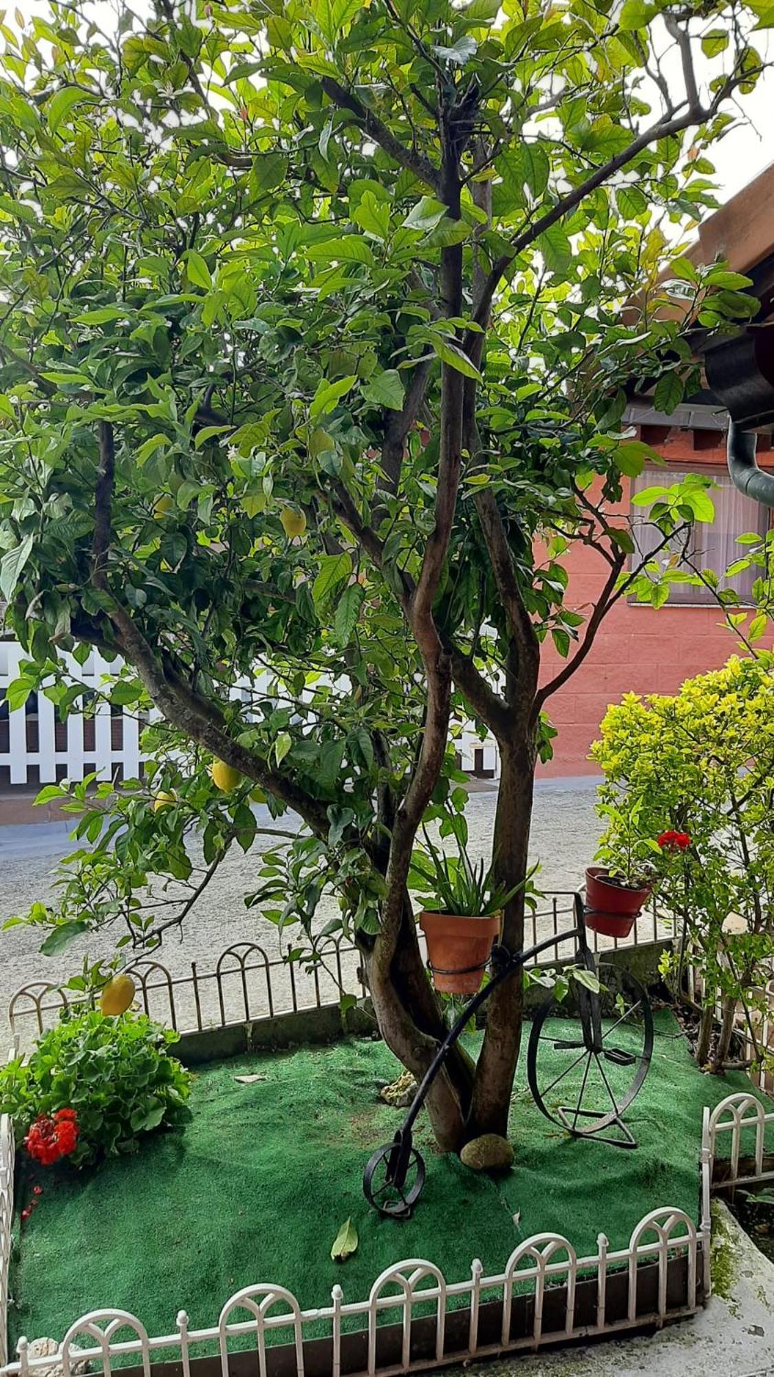 Casa Mari Carmen Apartment